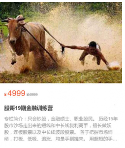 股哥训练营 只会炒股第19期看最鲜网，看新知识-提供各类互联网项目，互联网副业，职场技能课程，股票期货投资, 校园课程，升学考试等有价值的知识看最鲜网，看新知识