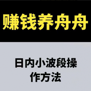赚钱养舟舟 日内小波段操作方法 期货课程看最鲜网，看新知识-提供各类互联网项目，互联网副业，职场技能课程，股票期货投资, 校园课程，升学考试等有价值的知识看最鲜网，看新知识
