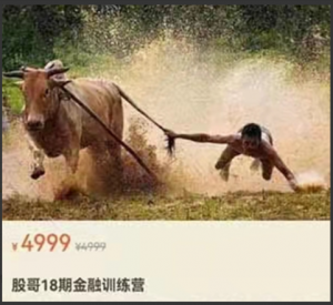 股哥训练营 只会炒股第18期看最鲜网，看新知识-提供各类互联网项目，互联网副业，职场技能课程，股票期货投资, 校园课程，升学考试等有价值的知识看最鲜网，看新知识