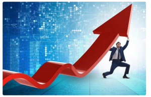 猫哥东方玉猫 决战强势股利器 稳抓强势股主升浪视频+文档+指标 8集看最鲜网，看新知识-提供各类互联网项目，互联网副业，职场技能课程，股票期货投资, 校园课程，升学考试等有价值的知识看最鲜网，看新知识