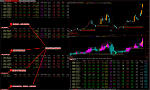 【指标】精品竞价打板系统猎杀涨停板【打板追牛+盘前预报+竞价打板】打板三剑客看最鲜网，看新知识-提供各类互联网项目，互联网副业，职场技能课程，股票期货投资, 校园课程，升学考试等有价值的知识看最鲜网，看新知识