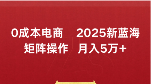 0成本电商2025新蓝海矩阵操作 月入5万+看最鲜网，看新知识-提供各类互联网项目，互联网副业，职场技能课程，股票期货投资, 校园课程，升学考试等有价值的知识看最鲜网，看新知识