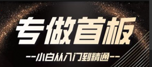 首板套利课程40课全，手把手教你如何打首板看最鲜网，看新知识-提供各类互联网项目，互联网副业，职场技能课程，股票期货投资, 校园课程，升学考试等有价值的知识看最鲜网，看新知识