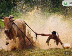 股哥训练营 只会炒股第17期看最鲜网，看新知识-提供各类互联网项目，互联网副业，职场技能课程，股票期货投资, 校园课程，升学考试等有价值的知识看最鲜网，看新知识