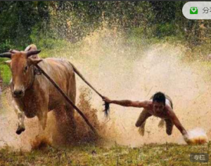 股哥训练营 只会炒股第16期看最鲜网，看新知识-提供各类互联网项目，互联网副业，职场技能课程，股票期货投资, 校园课程，升学考试等有价值的知识看最鲜网，看新知识