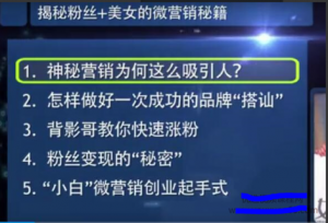 背影哥 如何玩转微营销看最鲜网，看新知识-提供各类互联网项目，互联网副业，职场技能课程，股票期货投资, 校园课程，升学考试等有价值的知识看最鲜网，看新知识