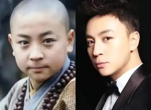 释小龙个人简历（释小龙演的全部电影）看最鲜网，看新知识-提供各类互联网项目，互联网副业，职场技能课程，股票期货投资, 校园课程，升学考试等有价值的知识看最鲜网，看新知识