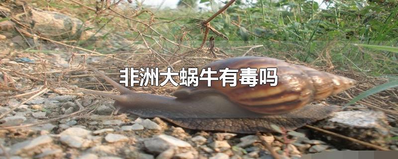 蜗牛有毒吗看最鲜网，看新知识-提供各类互联网项目，互联网副业，职场技能课程，股票期货投资, 校园课程，升学考试等有价值的知识看最鲜网，看新知识