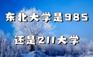 东北大学是985还是211（东北大学排名全国第几）看最鲜网，看新知识-提供各类互联网项目，互联网副业，职场技能课程，股票期货投资, 校园课程，升学考试等有价值的知识看最鲜网，看新知识