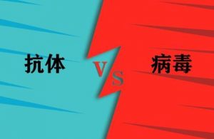 转阴15天后才能产生抗体?看最鲜网，看新知识-提供各类互联网项目，互联网副业，职场技能课程，股票期货投资, 校园课程，升学考试等有价值的知识看最鲜网，看新知识