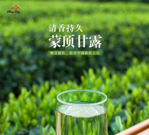 蒙顶甘露属于什么茶（蒙顶甘露是名茶吗）看最鲜网，看新知识-提供各类互联网项目，互联网副业，职场技能课程，股票期货投资, 校园课程，升学考试等有价值的知识看最鲜网，看新知识