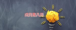 戌月是几月(戌是哪个月份呢)看最鲜网,看新知识-提供各类互联网项目,互联网副业,职场技能课程,股票期货投资, 校园课程,升学考试等有价值的知识看最鲜网,看新知识