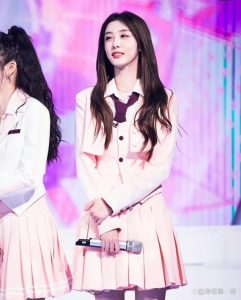 赵小棠个人资料简介（赵小棠是谁啊）看最鲜网，看新知识-提供各类互联网项目，互联网副业，职场技能课程，股票期货投资, 校园课程，升学考试等有价值的知识看最鲜网，看新知识