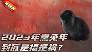 2023年为什么是黑兔年（2023黑兔年是真的吗）看最鲜网，看新知识-提供各类互联网项目，互联网副业，职场技能课程，股票期货投资, 校园课程，升学考试等有价值的知识看最鲜网，看新知识