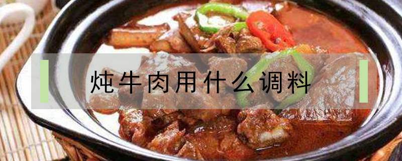 炖牛肉最忌讳两种佐料（炖牛肉最忌三种调料）看最鲜网，看新知识-提供各类互联网项目，互联网副业，职场技能课程，股票期货投资, 校园课程，升学考试等有价值的知识看最鲜网，看新知识