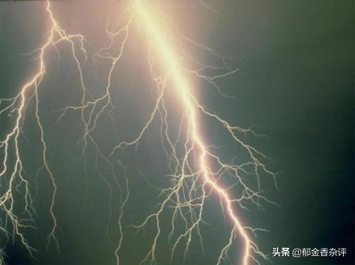 申的部首是什么（申字的部首是什么呀）