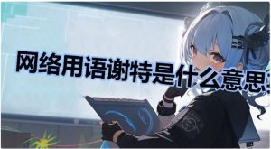 谢特是什么意思（谢特的含义）看最鲜网，看新知识-提供各类互联网项目，互联网副业，职场技能课程，股票期货投资, 校园课程，升学考试等有价值的知识看最鲜网，看新知识