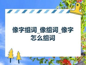像组词是什么（像在前面的组词）看最鲜网，看新知识-提供各类互联网项目，互联网副业，职场技能课程，股票期货投资, 校园课程，升学考试等有价值的知识看最鲜网，看新知识