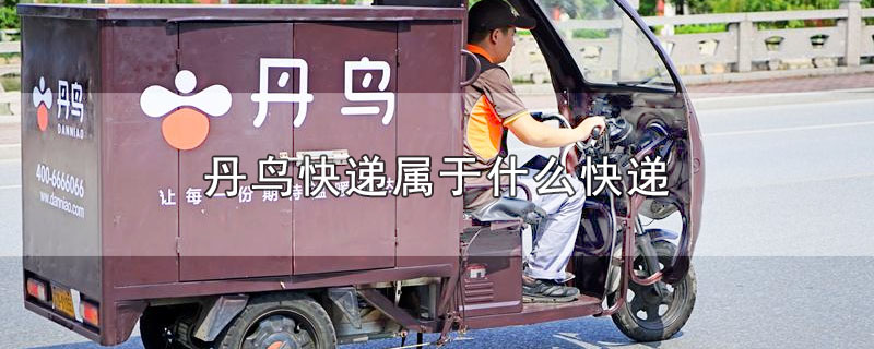丹鸟是什么快递公司（丹鸟kd是哪个快递公司）看最鲜网，看新知识-提供各类互联网项目，互联网副业，职场技能课程，股票期货投资, 校园课程，升学考试等有价值的知识看最鲜网，看新知识