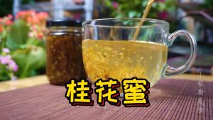 做桂花蜜用干桂花还是湿桂花（干桂花可以做桂花蜜吗）看最鲜网，看新知识-提供各类互联网项目，互联网副业，职场技能课程，股票期货投资, 校园课程，升学考试等有价值的知识看最鲜网，看新知识