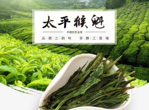 太平猴魁属于什么茶类（太平猴魁属于什么档次）看最鲜网，看新知识-提供各类互联网项目，互联网副业，职场技能课程，股票期货投资, 校园课程，升学考试等有价值的知识看最鲜网，看新知识