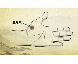 鱼际的神奇功效与作用(按摩小鱼际的神奇功效)看最鲜网，看新知识-提供各类互联网项目，互联网副业，职场技能课程，股票期货投资, 校园课程，升学考试等有价值的知识看最鲜网，看新知识