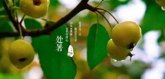 2023处暑过后多久黑天3