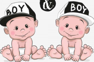 双胞胎是什么生肖（双胞胎最佳生肖）看最鲜网，看新知识-提供各类互联网项目，互联网副业，职场技能课程，股票期货投资, 校园课程，升学考试等有价值的知识看最鲜网，看新知识