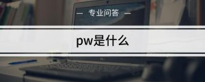 pw是什么意思网络用语（pw代表什么）看最鲜网，看新知识-提供各类互联网项目，互联网副业，职场技能课程，股票期货投资, 校园课程，升学考试等有价值的知识看最鲜网，看新知识