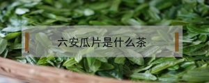 六安瓜片属于什么茶类（六安瓜片是绿茶还是白茶）看最鲜网，看新知识-提供各类互联网项目，互联网副业，职场技能课程，股票期货投资, 校园课程，升学考试等有价值的知识看最鲜网，看新知识