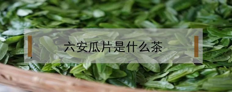 六安瓜片属于什么茶类（六安瓜片是绿茶还是白茶）看最鲜网，看新知识-提供各类互联网项目，互联网副业，职场技能课程，股票期货投资, 校园课程，升学考试等有价值的知识看最鲜网，看新知识
