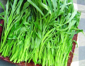 空心菜是凉性还是热性（吃空心菜的禁忌）看最鲜网，看新知识-提供各类互联网项目，互联网副业，职场技能课程，股票期货投资, 校园课程，升学考试等有价值的知识看最鲜网，看新知识