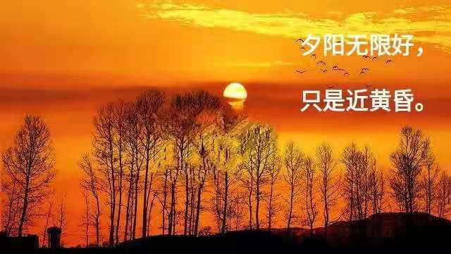 夕阳无限好只是近黄昏是什么意思啊,夕阳无限好只是近黄昏全诗