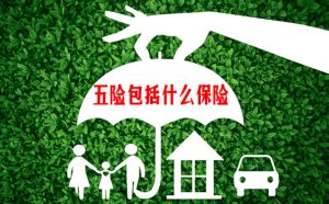 五险是哪五种保险（五险包括什么保险）看最鲜网，看新知识-提供各类互联网项目，互联网副业，职场技能课程，股票期货投资, 校园课程，升学考试等有价值的知识看最鲜网，看新知识