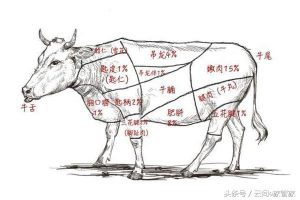 吊龙是什么（吊龙是哪里的肉）看最鲜网，看新知识-提供各类互联网项目，互联网副业，职场技能课程，股票期货投资, 校园课程，升学考试等有价值的知识看最鲜网，看新知识