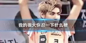 我的很大你忍一下梗(网络流行语我的很大你忍一下是什么梗)看最鲜网,看新知识-提供各类互联网项目,互联网副业,职场技能课程,股票期货投资, 校园课程,升学考试等有价值的知识看最鲜网,看新知识