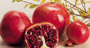 石榴籽的作用与功效（石榴籽的功效与作用及禁忌）看最鲜网，看新知识-提供各类互联网项目，互联网副业，职场技能课程，股票期货投资, 校园课程，升学考试等有价值的知识看最鲜网，看新知识