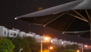 2023年重庆8月底热吗看最鲜网，看新知识-提供各类互联网项目，互联网副业，职场技能课程，股票期货投资, 校园课程，升学考试等有价值的知识看最鲜网，看新知识