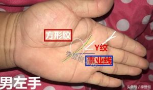 y纹是什么意思（y纹的含义）看最鲜网，看新知识-提供各类互联网项目，互联网副业，职场技能课程，股票期货投资, 校园课程，升学考试等有价值的知识看最鲜网，看新知识