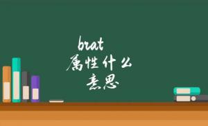 brat什么属性（女brat属于什么属性）看最鲜网，看新知识-提供各类互联网项目，互联网副业，职场技能课程，股票期货投资, 校园课程，升学考试等有价值的知识看最鲜网，看新知识