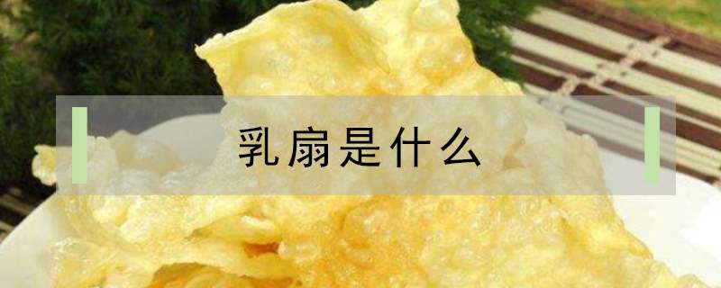 乳扇是什么东西（乳扇指的是什么呢）看最鲜网，看新知识-提供各类互联网项目，互联网副业，职场技能课程，股票期货投资, 校园课程，升学考试等有价值的知识看最鲜网，看新知识