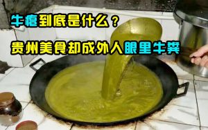 牛瘪是什么东西（牛瘪的作用与功效）看最鲜网，看新知识-提供各类互联网项目，互联网副业，职场技能课程，股票期货投资, 校园课程，升学考试等有价值的知识看最鲜网，看新知识