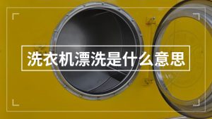 漂洗是什么意思（洗衣漂洗是什么意思）看最鲜网，看新知识-提供各类互联网项目，互联网副业，职场技能课程，股票期货投资, 校园课程，升学考试等有价值的知识看最鲜网，看新知识