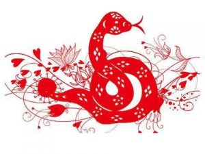 福气之蛇是什么意思（福气之蛇是什么命）看最鲜网，看新知识-提供各类互联网项目，互联网副业，职场技能课程，股票期货投资, 校园课程，升学考试等有价值的知识看最鲜网，看新知识