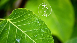 2023年大暑过后天气会变凉吗看最鲜网，看新知识-提供各类互联网项目，互联网副业，职场技能课程，股票期货投资, 校园课程，升学考试等有价值的知识看最鲜网，看新知识