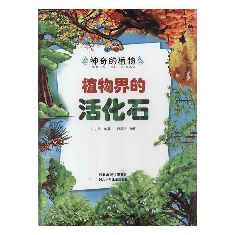 植物界的活化石是什么植物（哪种植物被称为植物活化石）看最鲜网，看新知识-提供各类互联网项目，互联网副业，职场技能课程，股票期货投资, 校园课程，升学考试等有价值的知识看最鲜网，看新知识