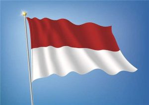 62是哪个国家的区号（+62是哪里的号码）看最鲜网，看新知识-提供各类互联网项目，互联网副业，职场技能课程，股票期货投资, 校园课程，升学考试等有价值的知识看最鲜网，看新知识