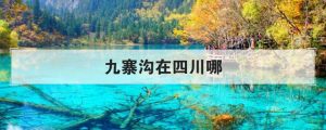 九寨沟在四川哪个城市（九寨沟属于哪个市）看最鲜网，看新知识-提供各类互联网项目，互联网副业，职场技能课程，股票期货投资, 校园课程，升学考试等有价值的知识看最鲜网，看新知识