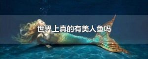 世界上有没有美人鱼（是否有美人鱼的存在）看最鲜网，看新知识-提供各类互联网项目，互联网副业，职场技能课程，股票期货投资, 校园课程，升学考试等有价值的知识看最鲜网，看新知识