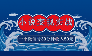 麒麟社VIP《小说变现实战班》，一个微信号30分钟收入50元看最鲜网，看新知识-提供各类互联网项目，互联网副业，职场技能课程，股票期货投资, 校园课程，升学考试等有价值的知识看最鲜网，看新知识